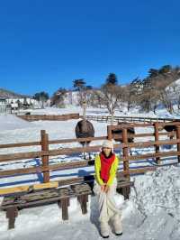눈쌓인 동물체험장 어떤데🥹❄️