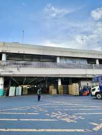 【東京都/市場稲荷神社】真っ赤な社殿からエネルギーチャージ