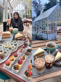 Splendour tea time at Glasshouse’s Fraser