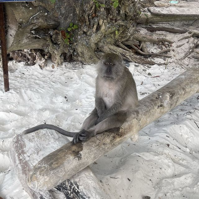 Phi phi island & Maya beach