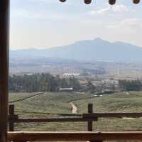 Deokjin Tea Field