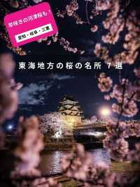 【地元フォトグラファー厳選】東海地方の桜の名所7選を紹介します！