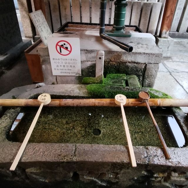 大阪観光でおすすめ✨法善寺さん