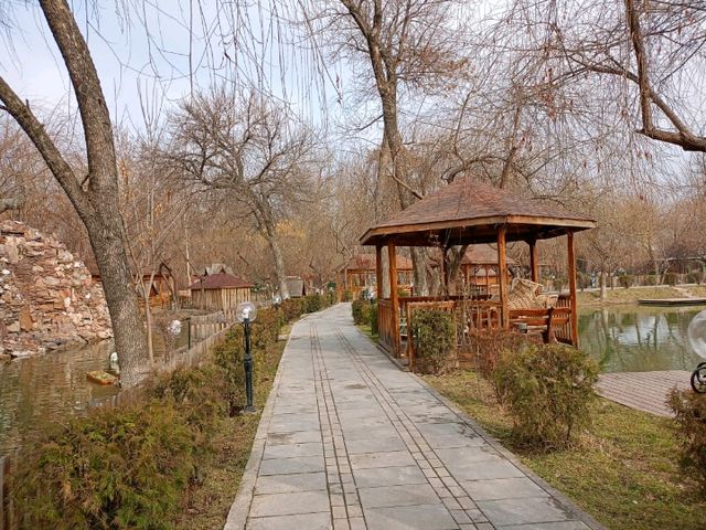 Spring 🌼 Silk road 🛣️ Tashkent 