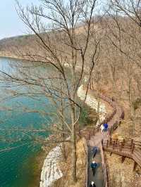 오리들과 멋진 자연 경관 풍경을 보며 ⛴️ 산책할 수 있는 마장호수 둘레길