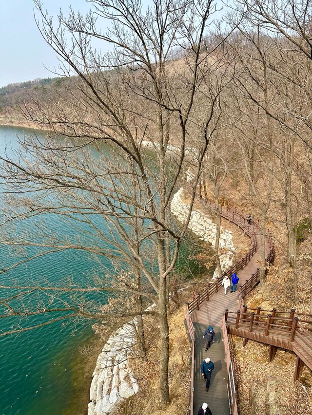 오리들과 멋진 자연 경관 풍경을 보며 ⛴️ 산책할 수 있는 마장호수 둘레길