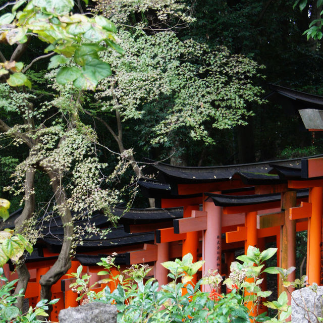 Mysterious Fushimi Inari Taisha