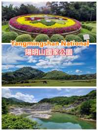 【臺北景點】陽明山國家公園：花季賞花，適合春季遠足休閒