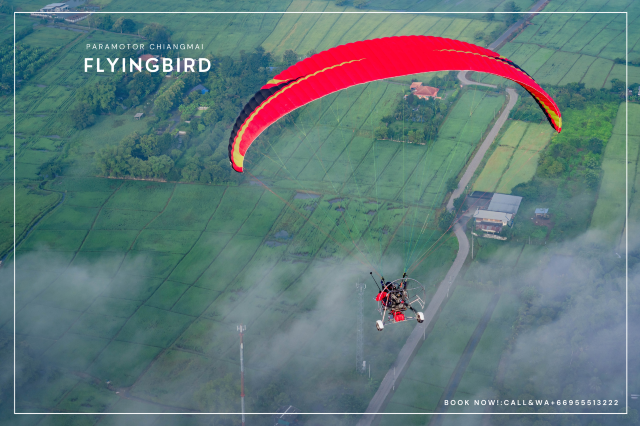 Flying Bird Paramotor Chiangmai