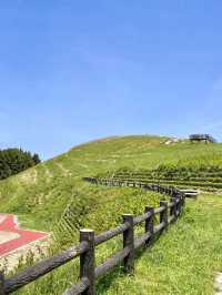 【和歌山】誰でも簡単に絶景とのコラボ写真が撮れるスポット