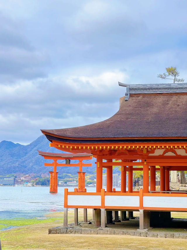 【絶景】海に浮かぶ美しき大鳥居！世界遺産嚴島神社で厄祓い⛩