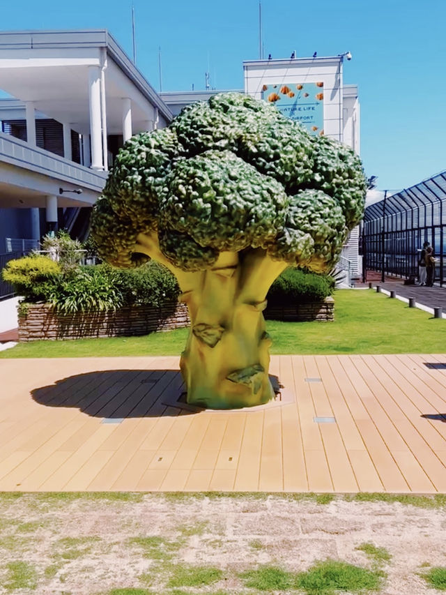 巨大緑🥦から目が離せない