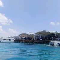 Capturing moments while traveling by boat ⛵ 