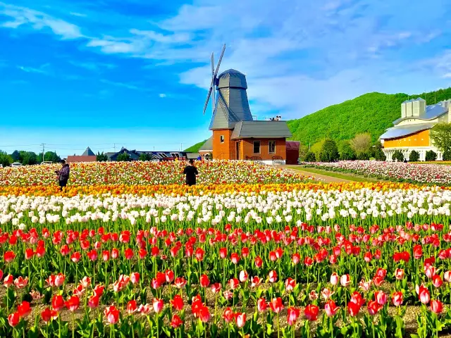 Kamiyubetsu Tulip Park