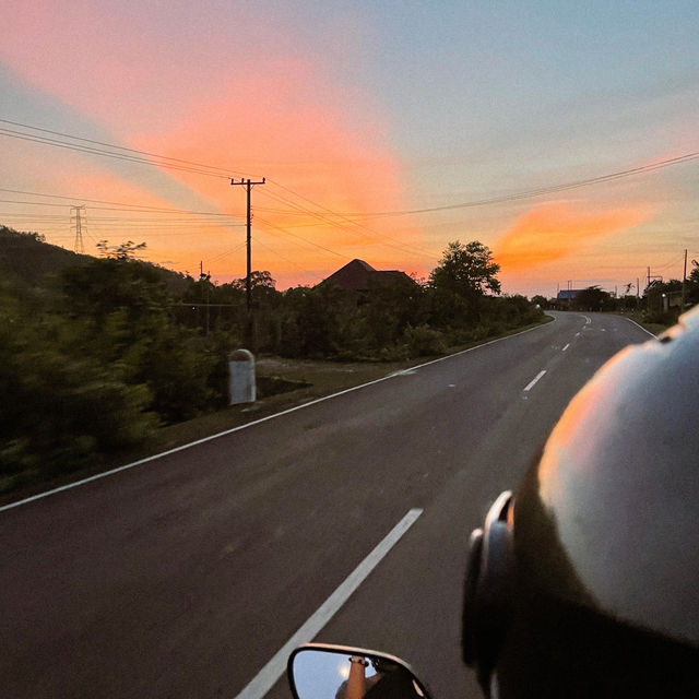 ปลาสาทหินวัดพู 