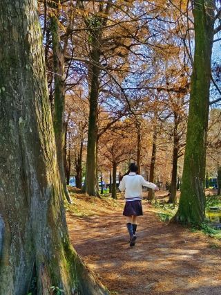 Yilan | Wandering in a vast forest of bald cypress trees | Luodong Sports Park.