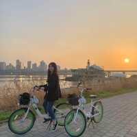 봄에는 자전거타며 서울여행🚲