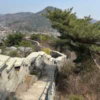 인왕산 자락길에서 즐기는 벚꽃놀이🌸