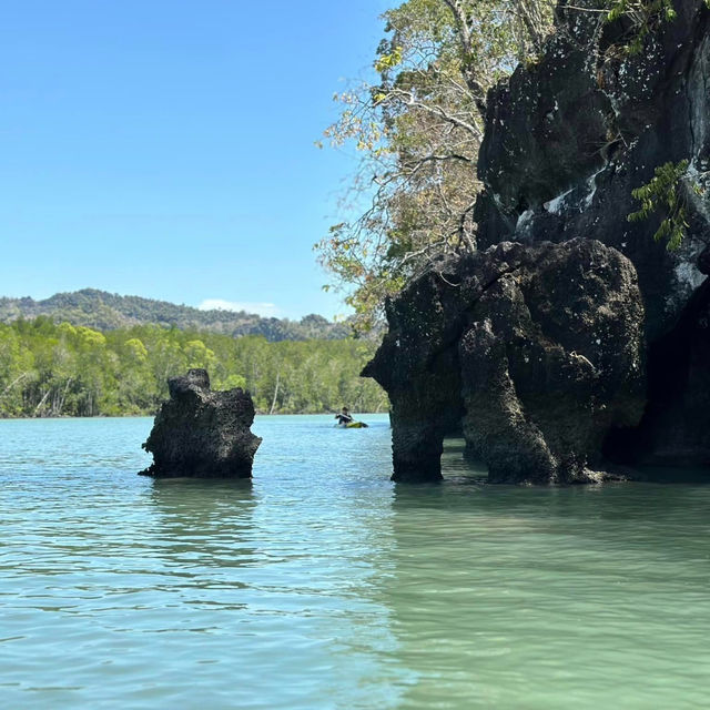 Kayak Through Paradise: Langkawi Mangrove