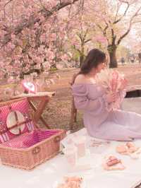 おしゃピクするならレンタルで行こ🧺🌸