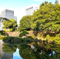 💐 So luxurious Hibiya Park 🇯🇵