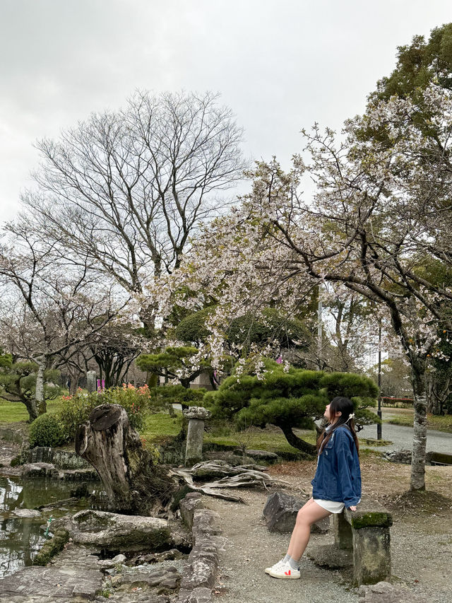 日本九州｜柳川漫活走走🚶‍♂️‍➡️