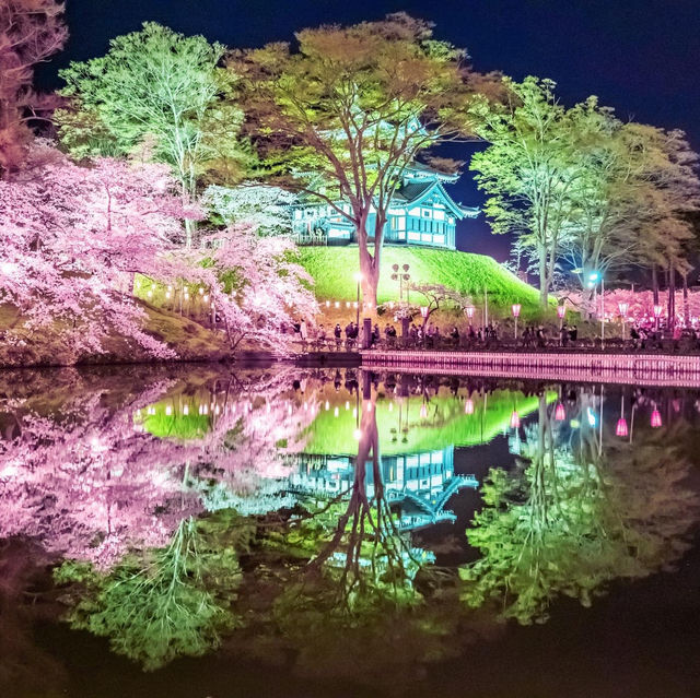 新潟・高田城址公園櫻花