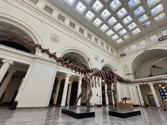 Field museum | Chicago 🏡