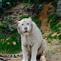 【東京景點】上野動物園：珍稀動物天堂