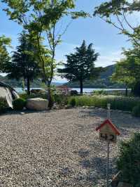 탁 트인 뷰와 함께 힐링하는 계룡산사계절캠핑장🏕️