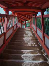 【広島】断崖絶壁に建つ朱色のお堂⛩️