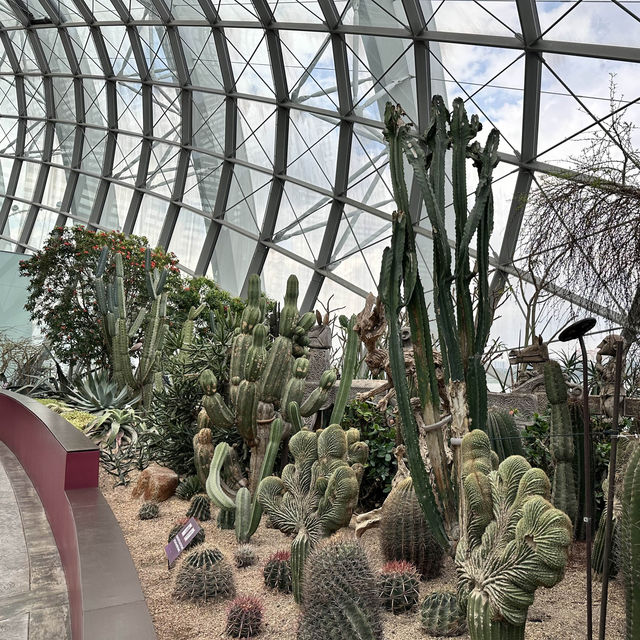 景點-新加坡🇸🇬三大植物園［濱海灣花園雲霧林、花穹、胡姬花園］