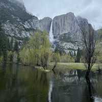 Yosemite National Park, California - AMAZING