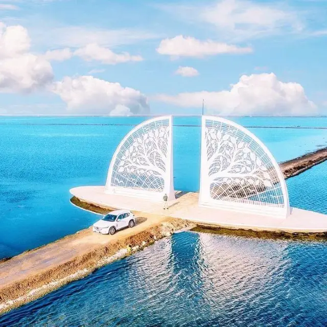 청곤스 팬형 소금밭