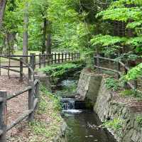 「與儀公園」：自然與文化交融，尋求片刻遠離塵囂的休憩場所