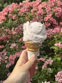 バラ園でプリンセス気分👸🏼🌹【千葉】
