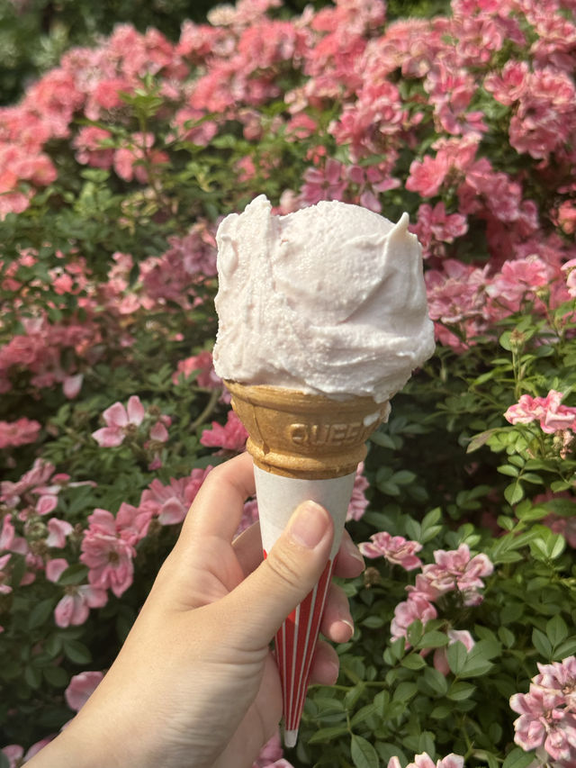バラ園でプリンセス気分👸🏼🌹【千葉】
