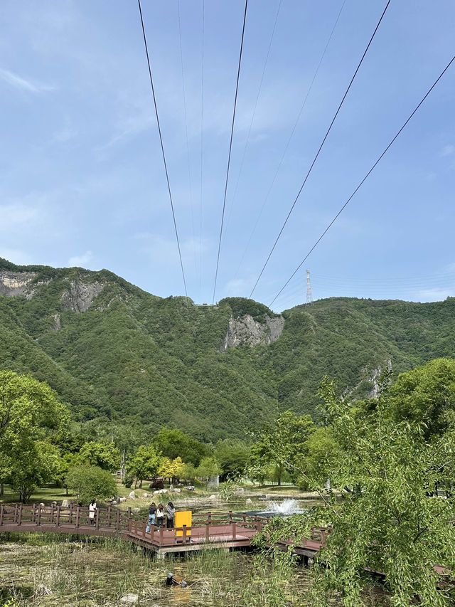 【韓国/江原道】アジア最長のジップワイヤーに乗れる秘境⛰️