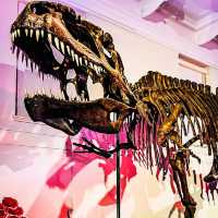 Dino-Mite! Australian Museum Experience 