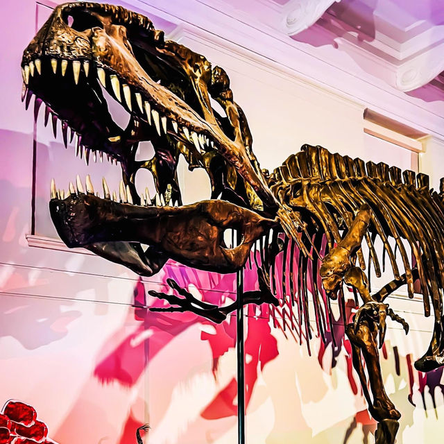 Dino-Mite! Australian Museum Experience 