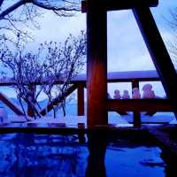 【国立公園支笏湖】丸駒温泉旅館