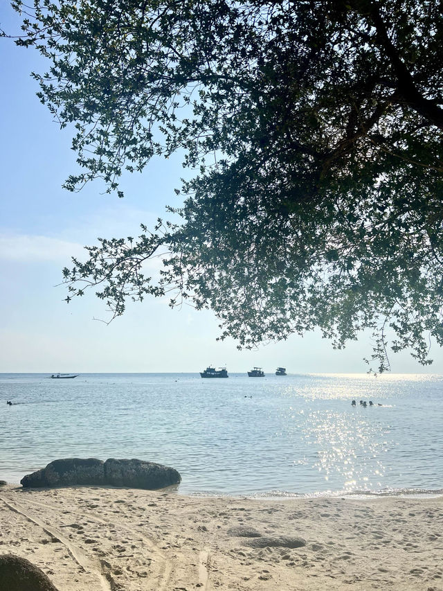 John Suwan View Point Koh Tao