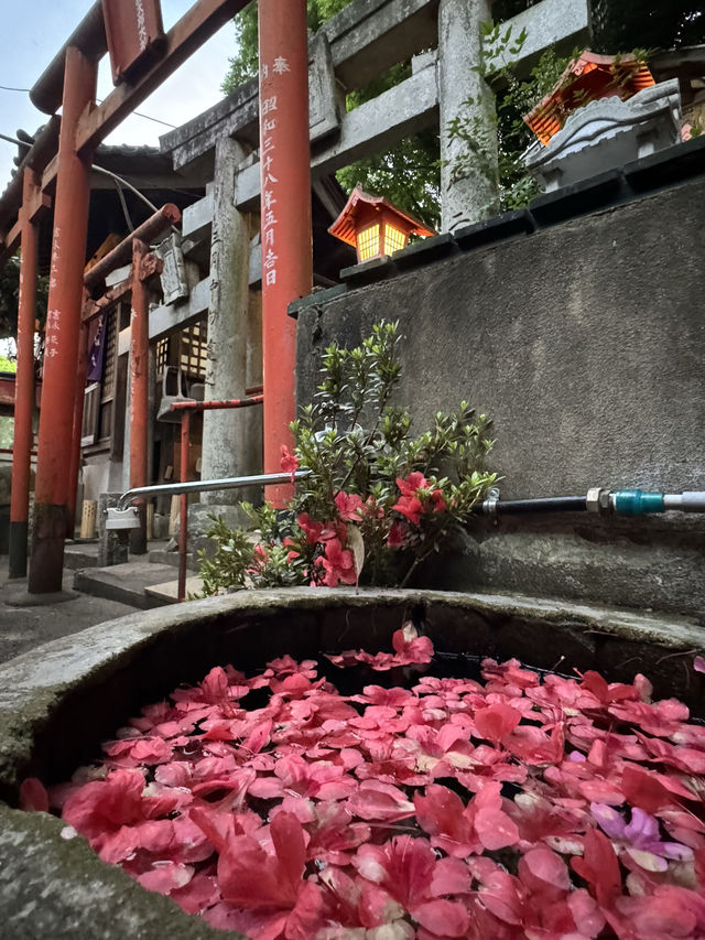 【福岡観光】サイバー神社って知ってる？密かに人気の神社⛩