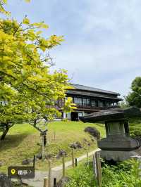 〜神奈川県〜秘密にしてた鎌倉穴場スポット🍽️重要文化財で贅沢ランチ🍽️