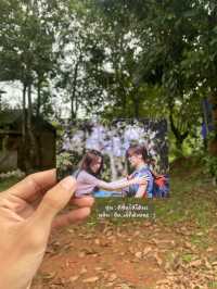 โฮมสเตย์ดูเลเล | เชียงใหม่ 🏡⛰️🌧️🔥