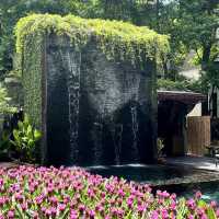 Chala Number 6 โรงแรมห้าดาวบรรยากาศสวนสวย