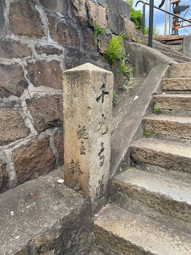 広島　尾道の長い階段の先にある絶景🍁