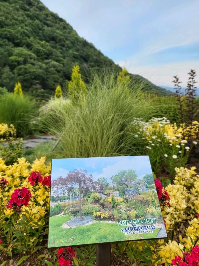 가족나들이하기 좋은 월아산 숲속의 진주
