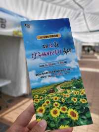 10만평 해바라기꽃밭이 펼쳐지는 강주마을