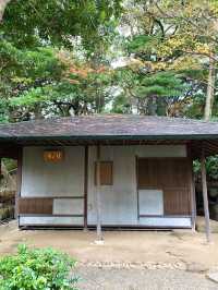 東京　東京観光　プリンスホテル日本庭園は圧巻の庭園だったぞ！